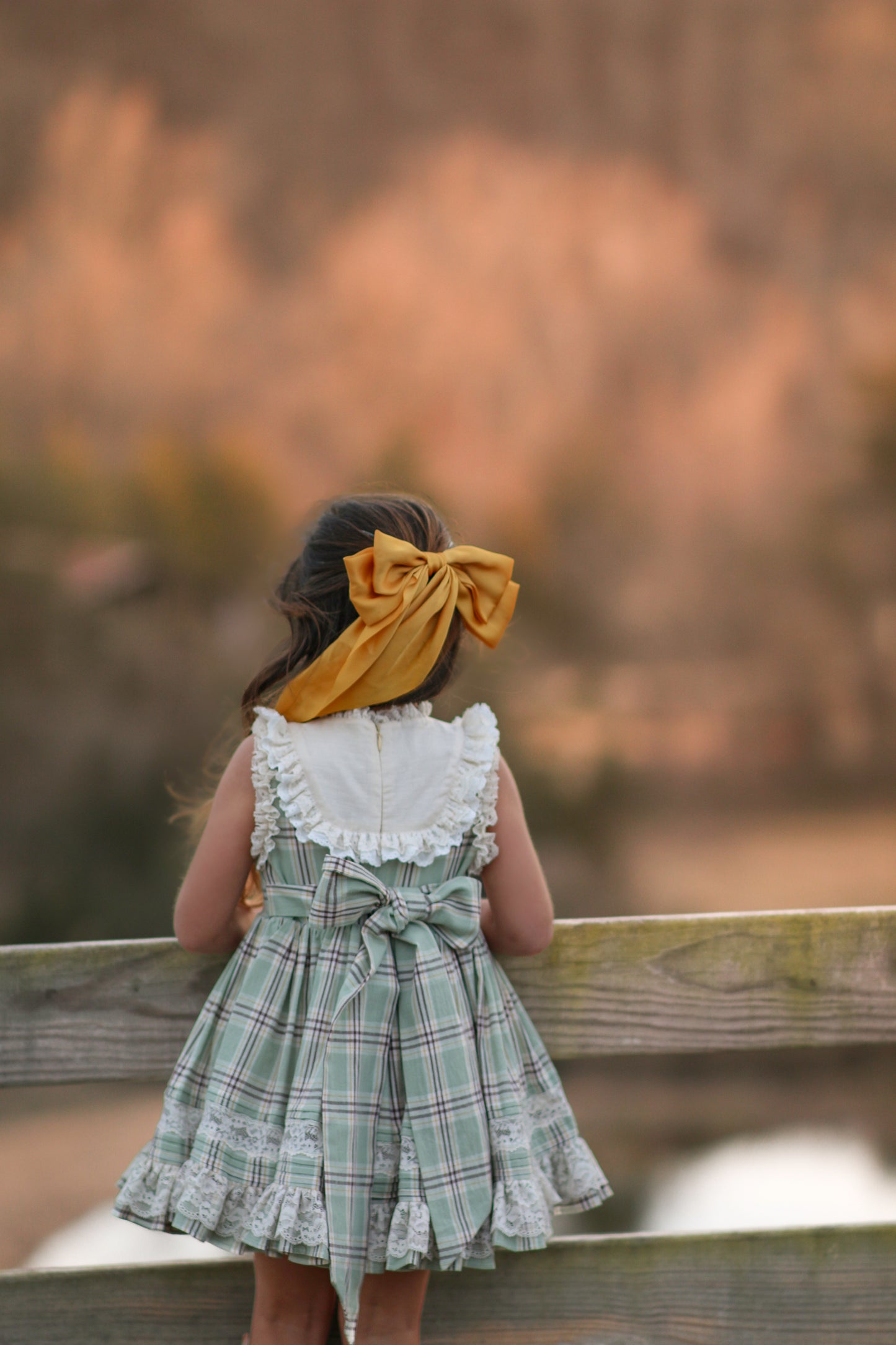 Duck & Goose Tunic Set