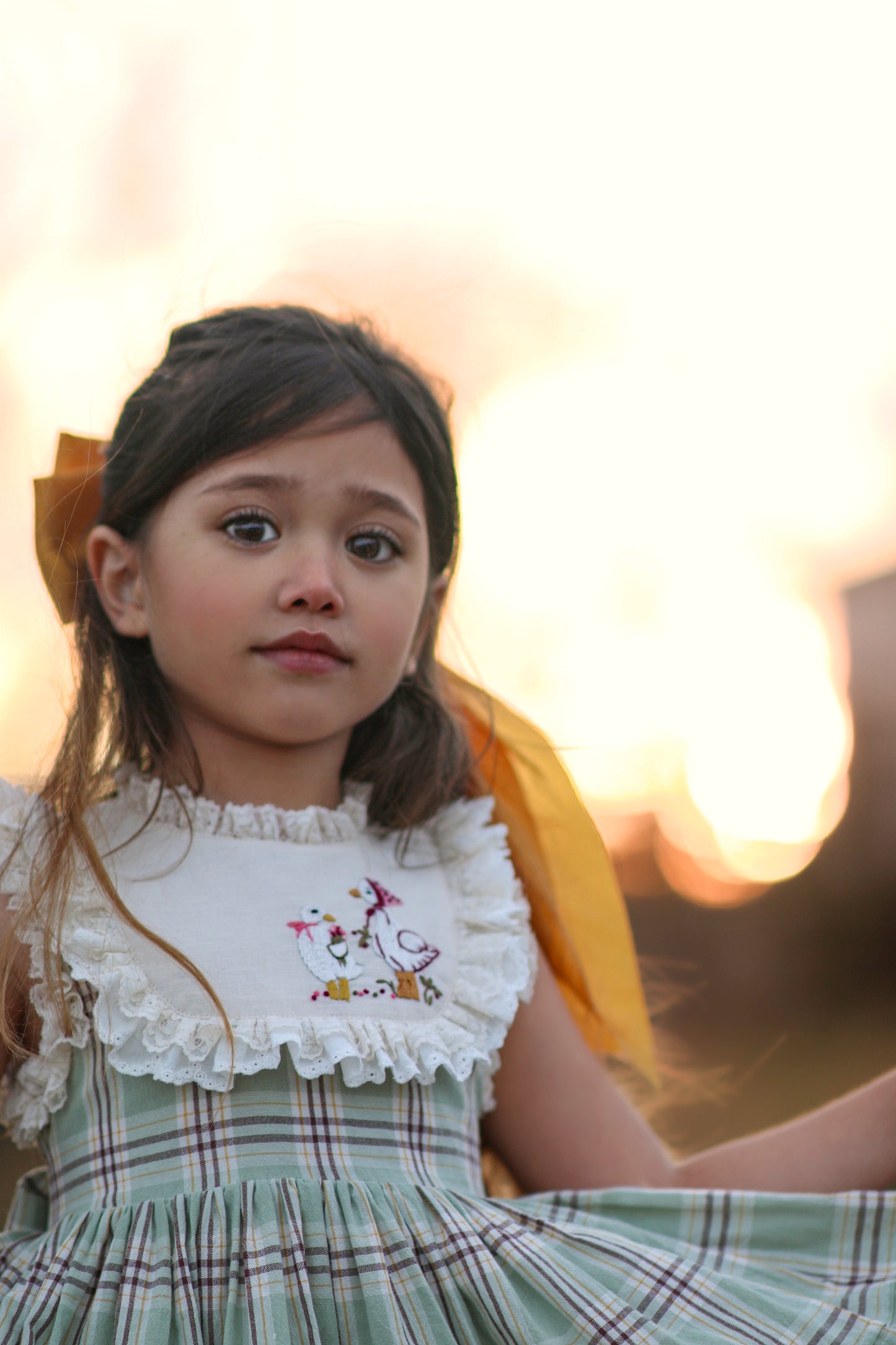 Duck & Goose Tunic Set