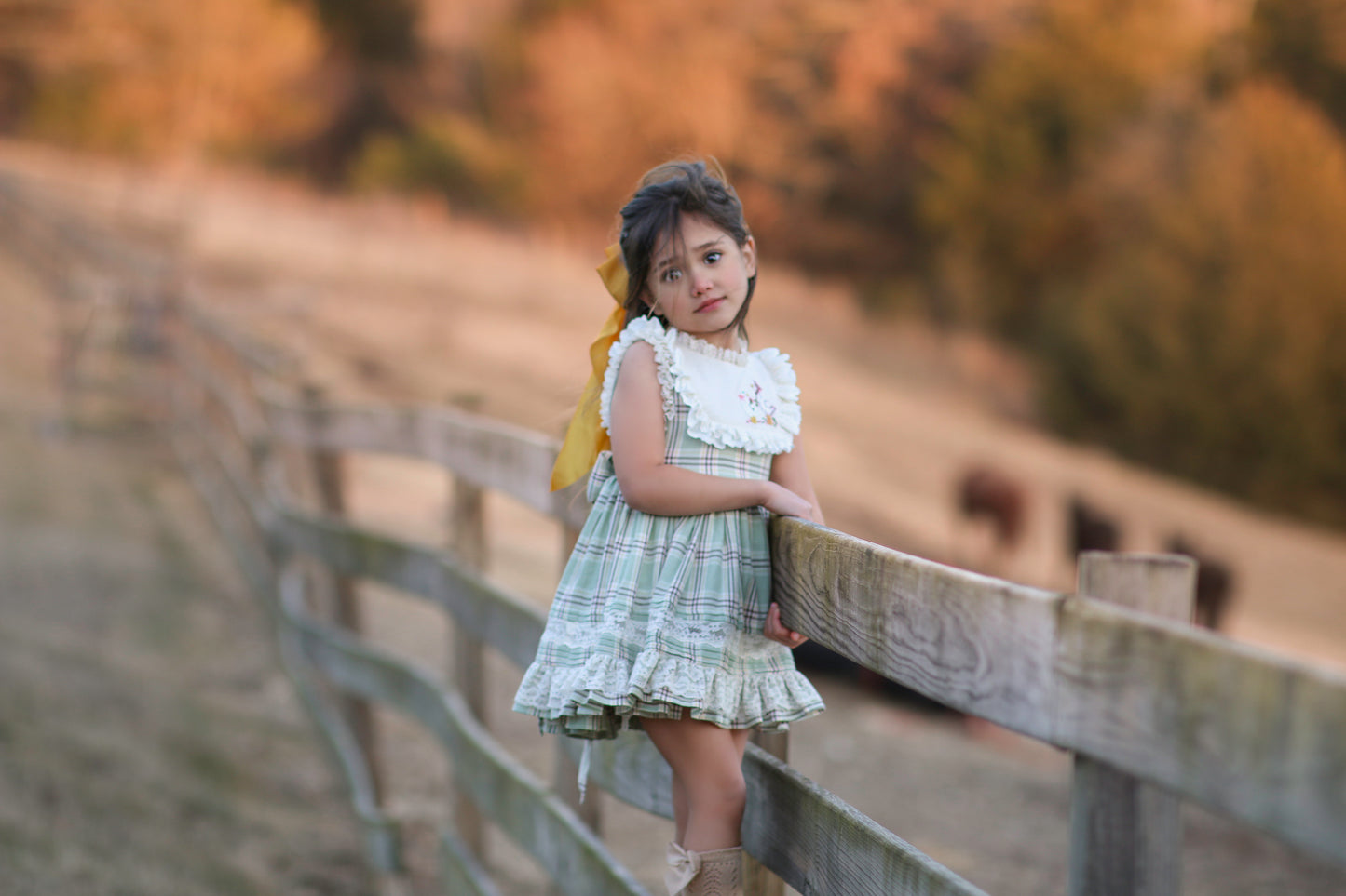 Duck & Goose Tunic Set