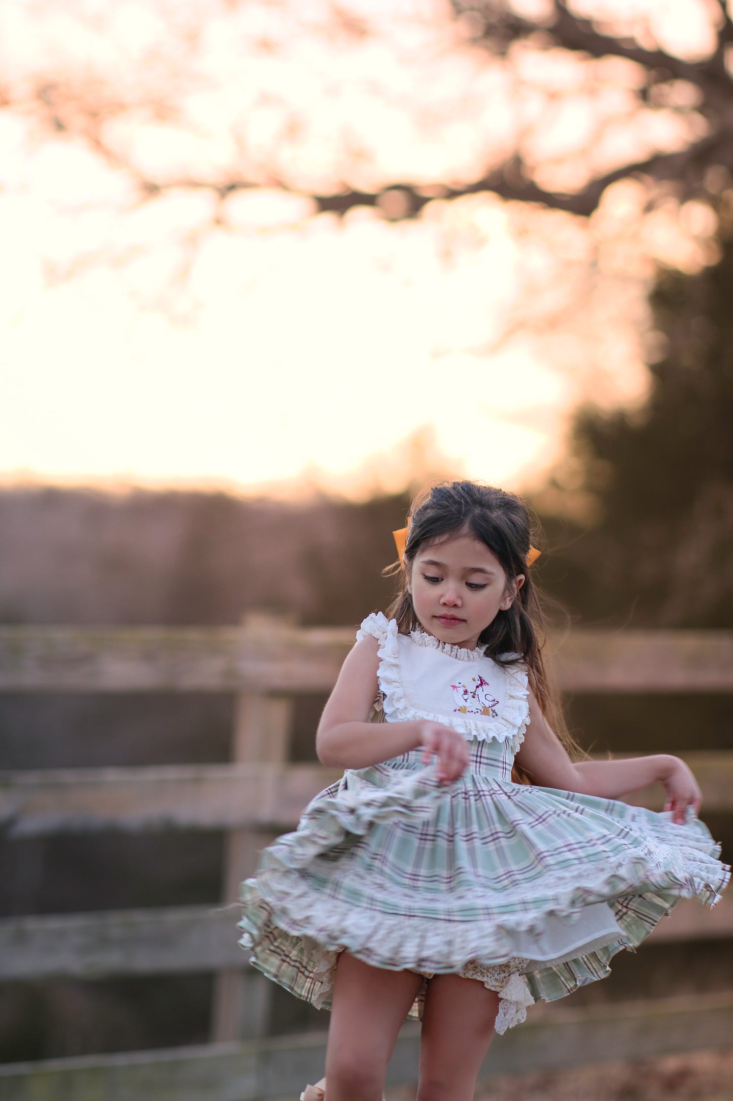 Duck & Goose Tunic Set