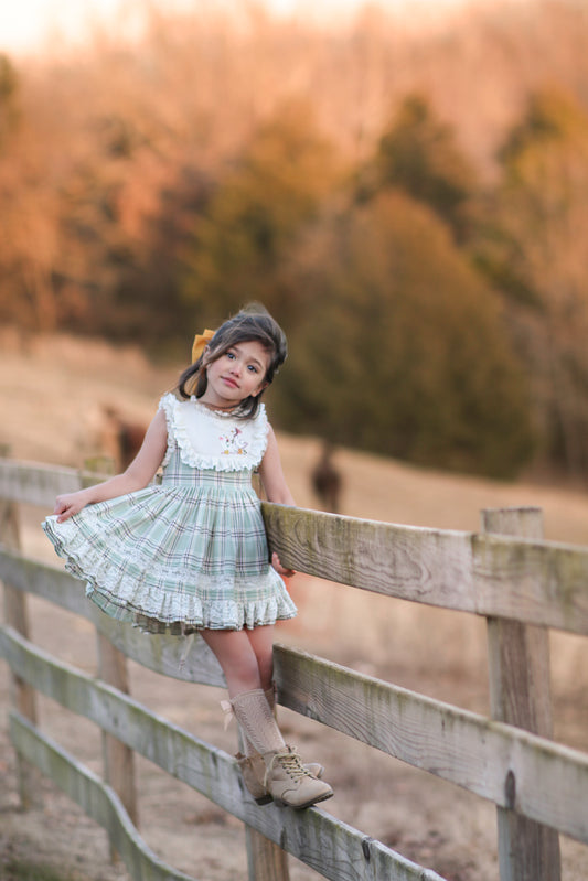 Duck & Goose Tunic Set