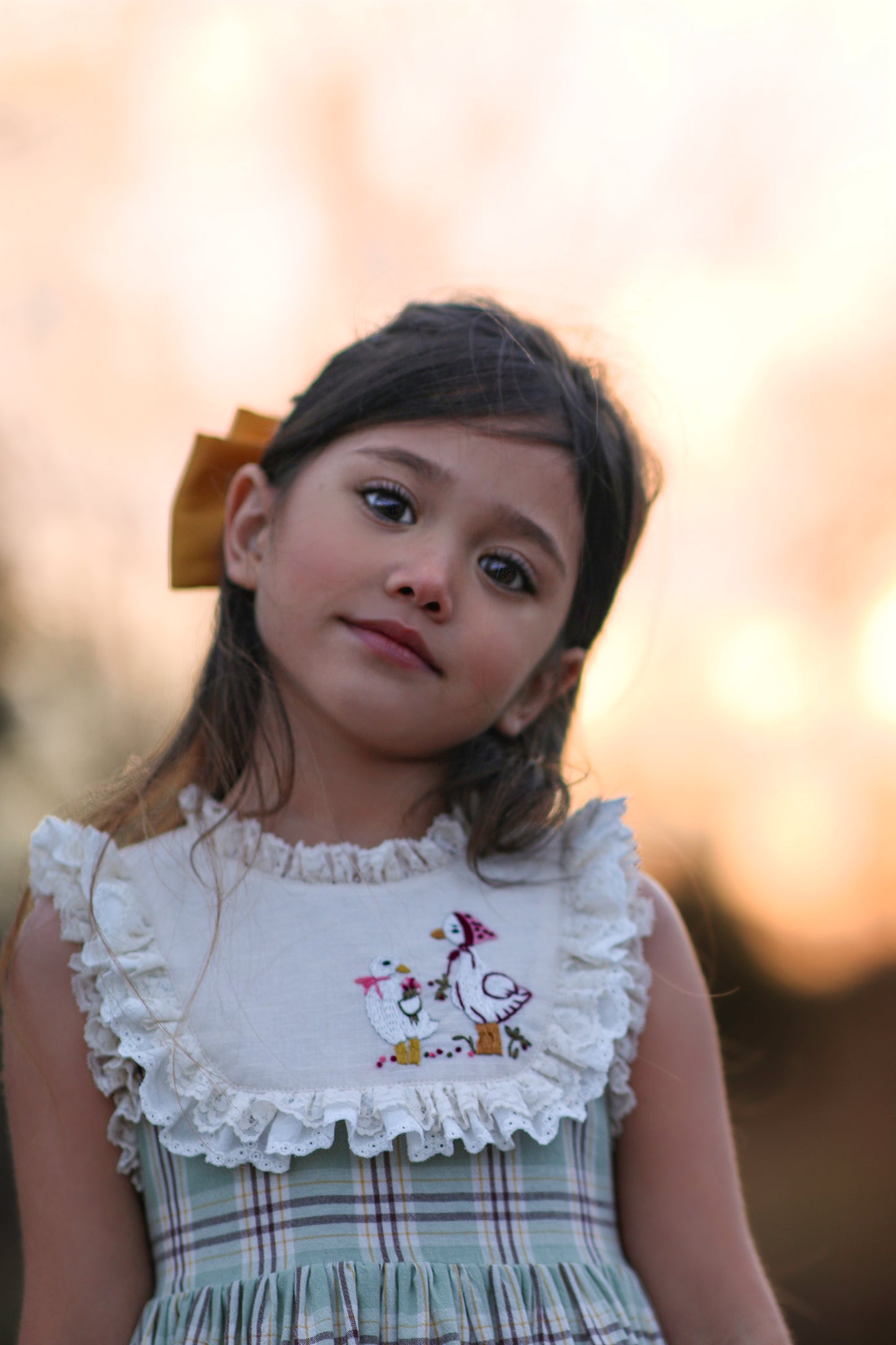 Duck & Goose Tunic Set