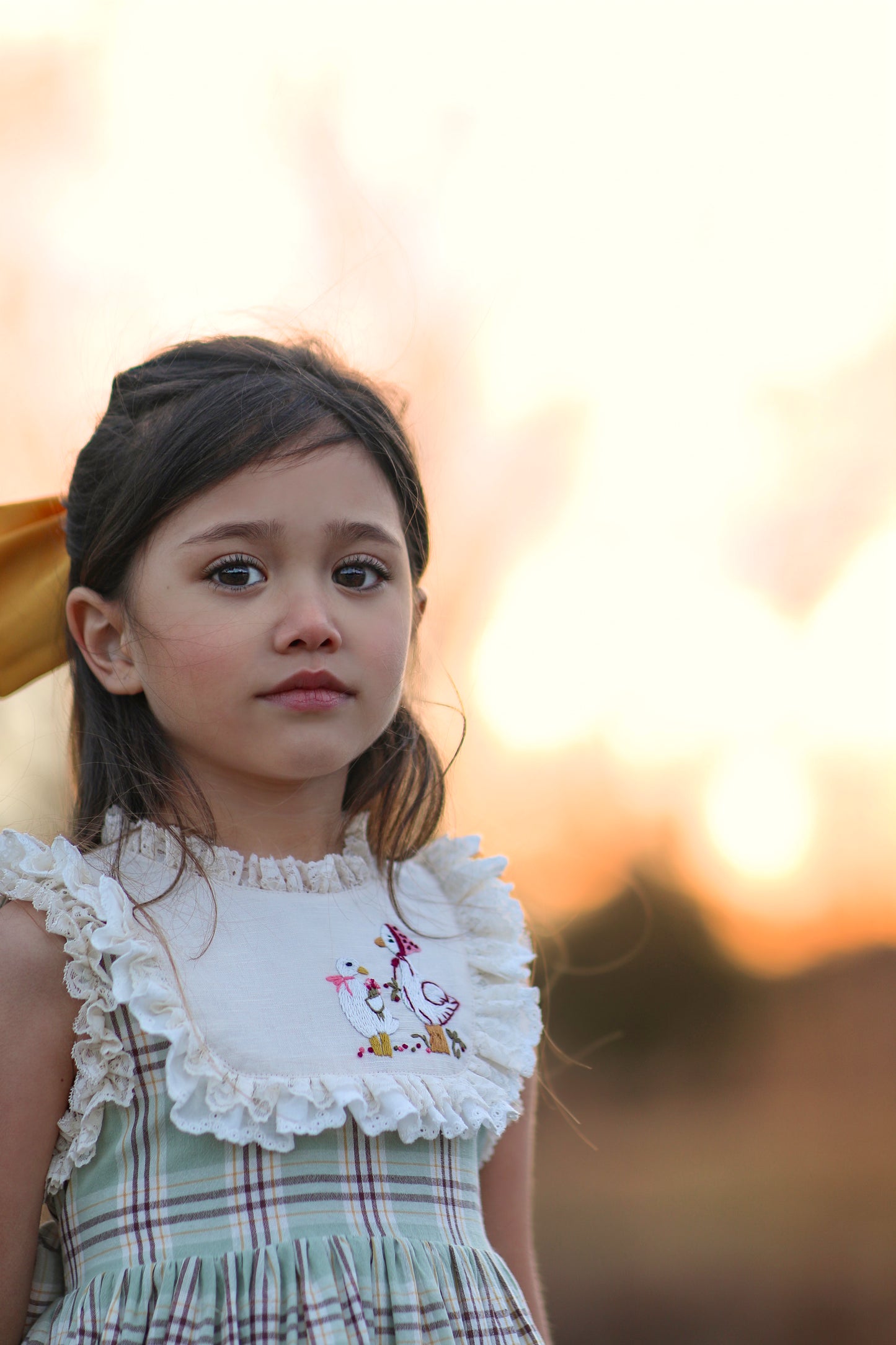 Duck & Goose Tunic Set