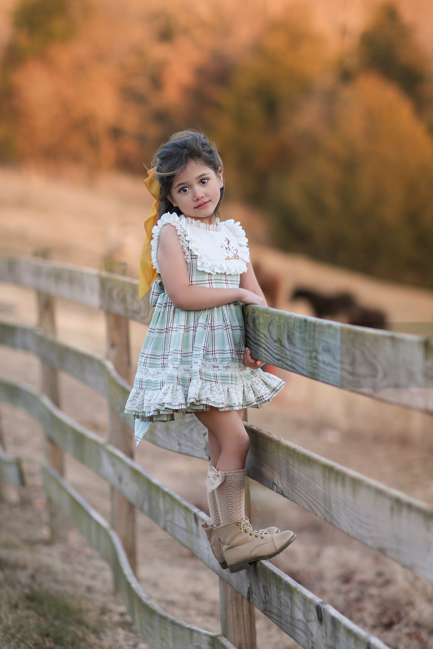 Duck & Goose Tunic Set