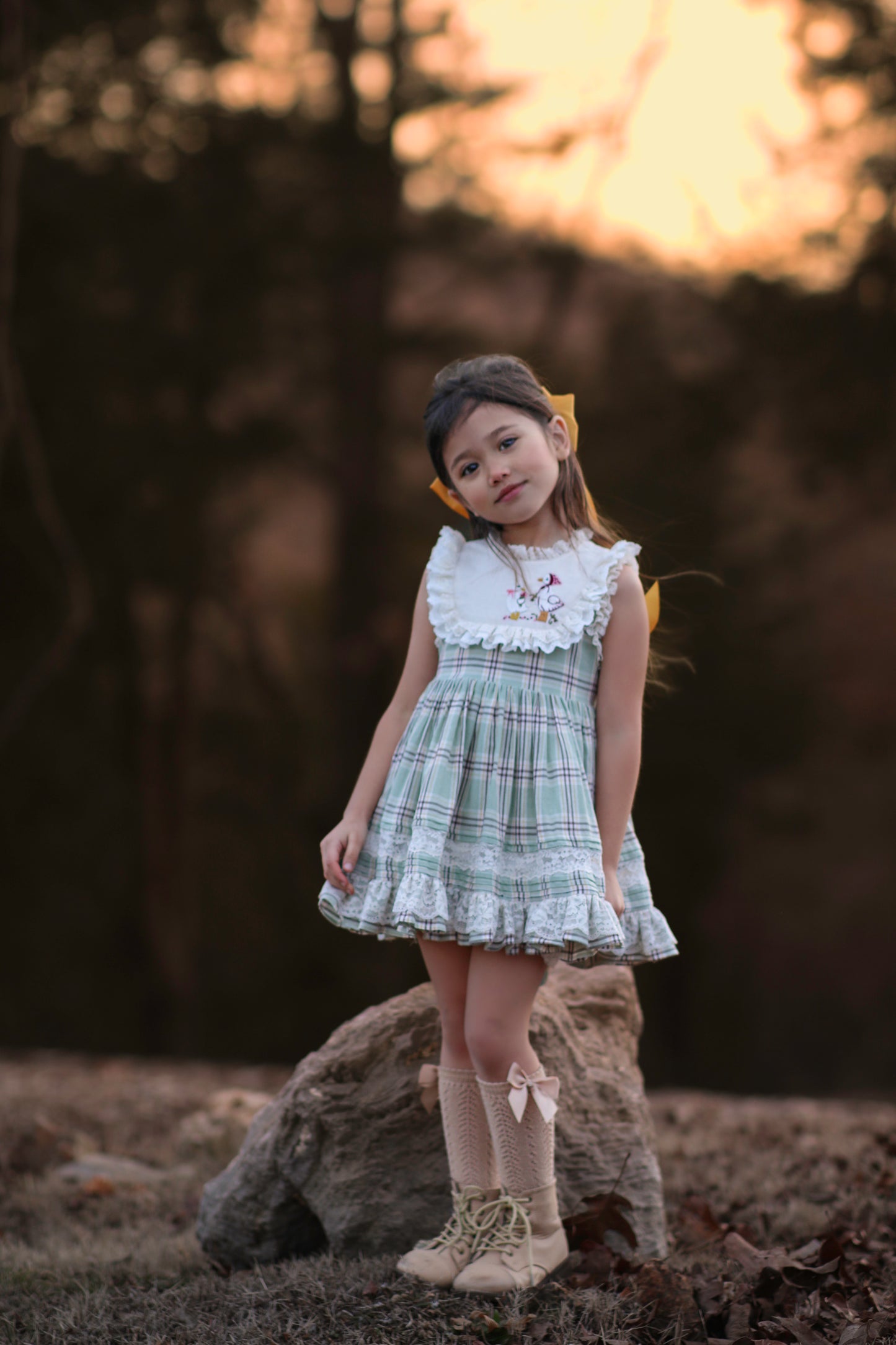 Duck & Goose Tunic Set