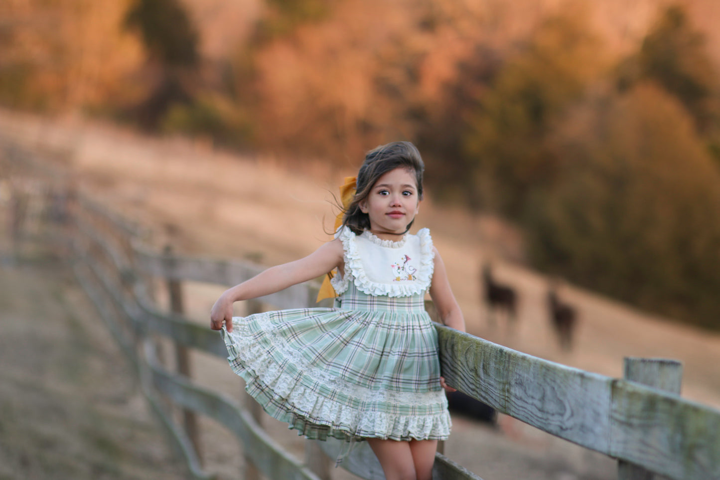 Duck & Goose Tunic Set