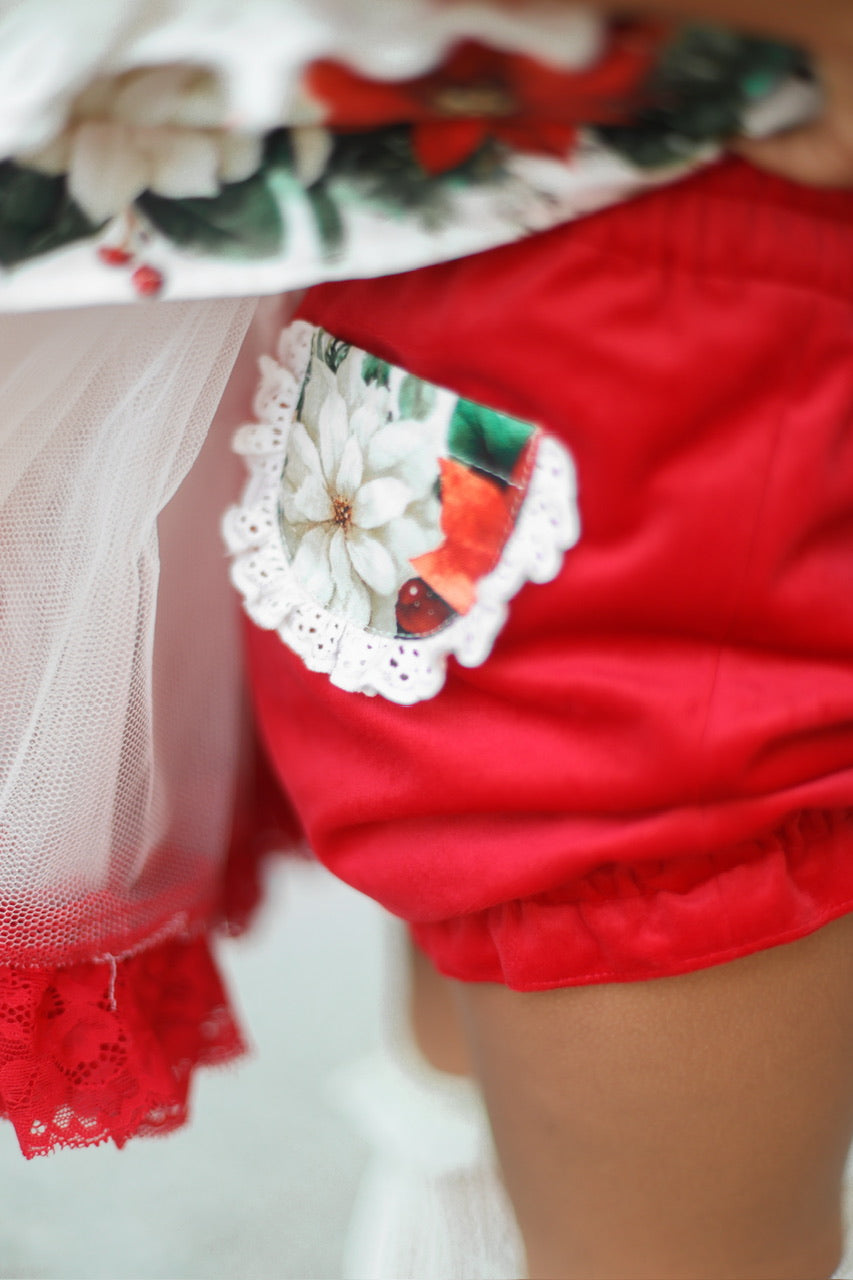 Poinsettia Promise