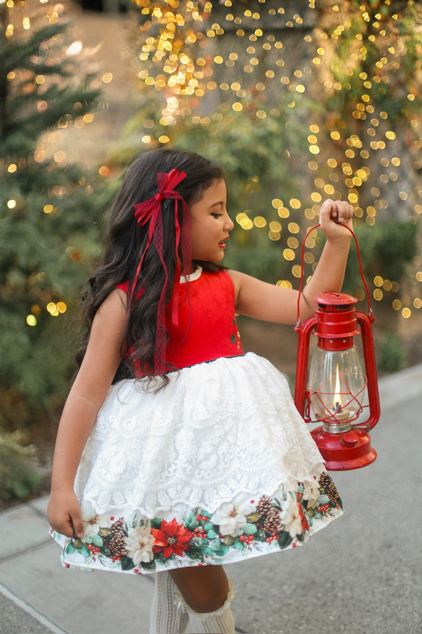 Poinsettia Promise