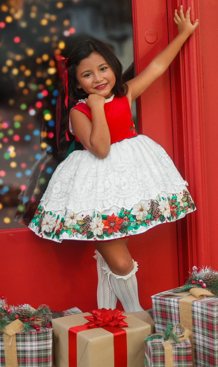 Poinsettia Promise
