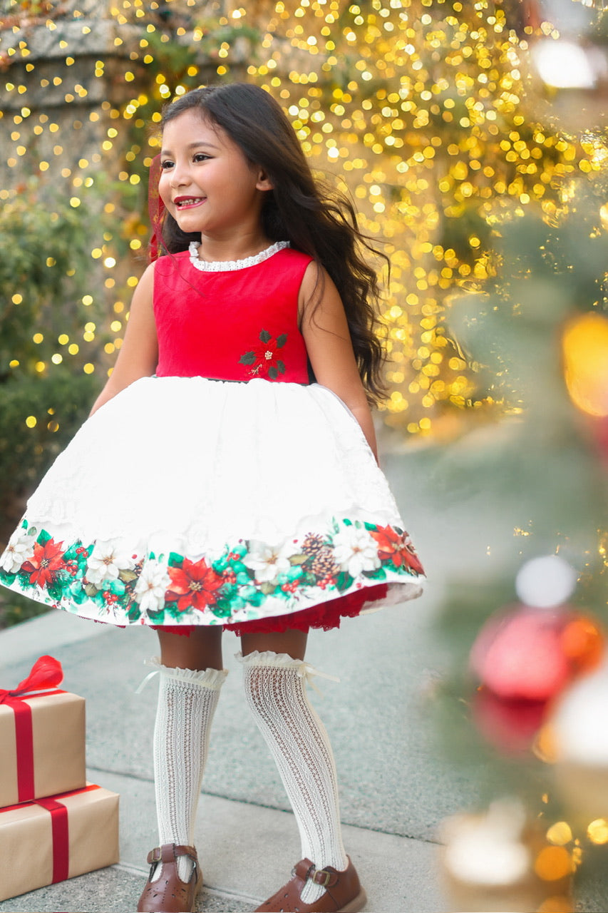 Poinsettia Promise