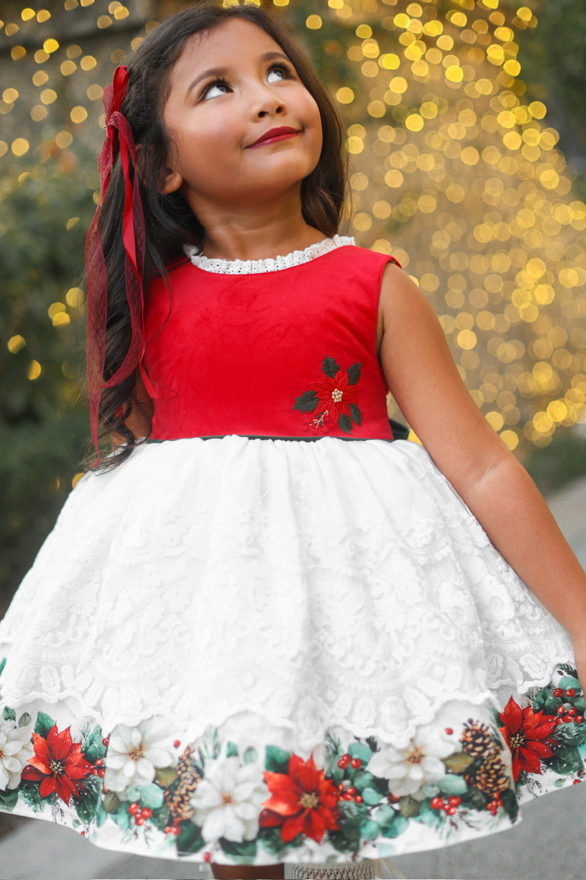 Poinsettia Promise