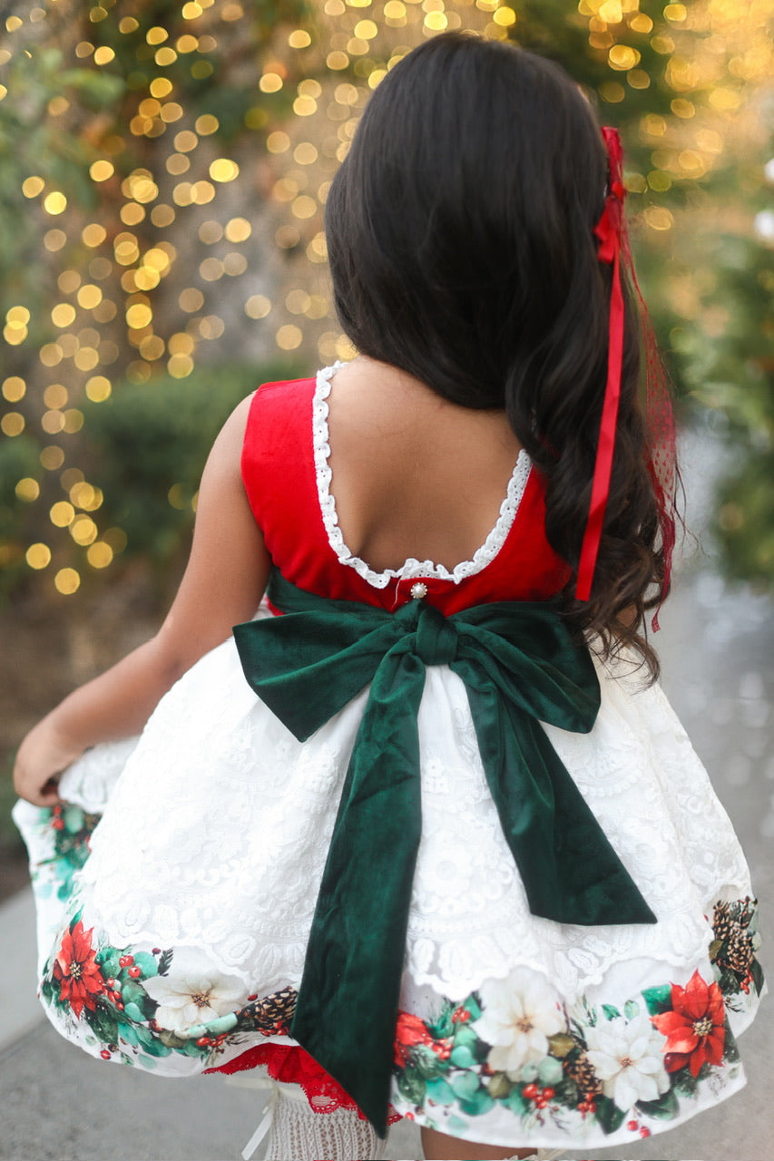 Poinsettia Promise
