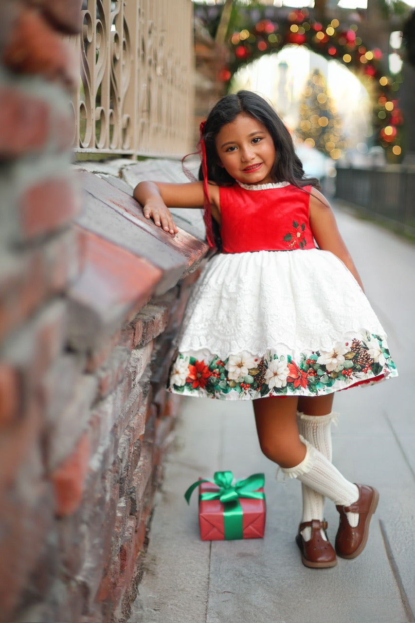 Poinsettia Promise