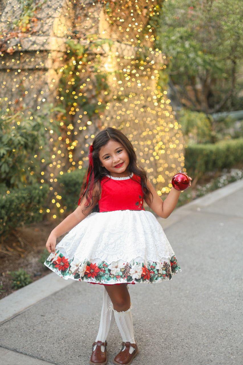 Poinsettia Promise