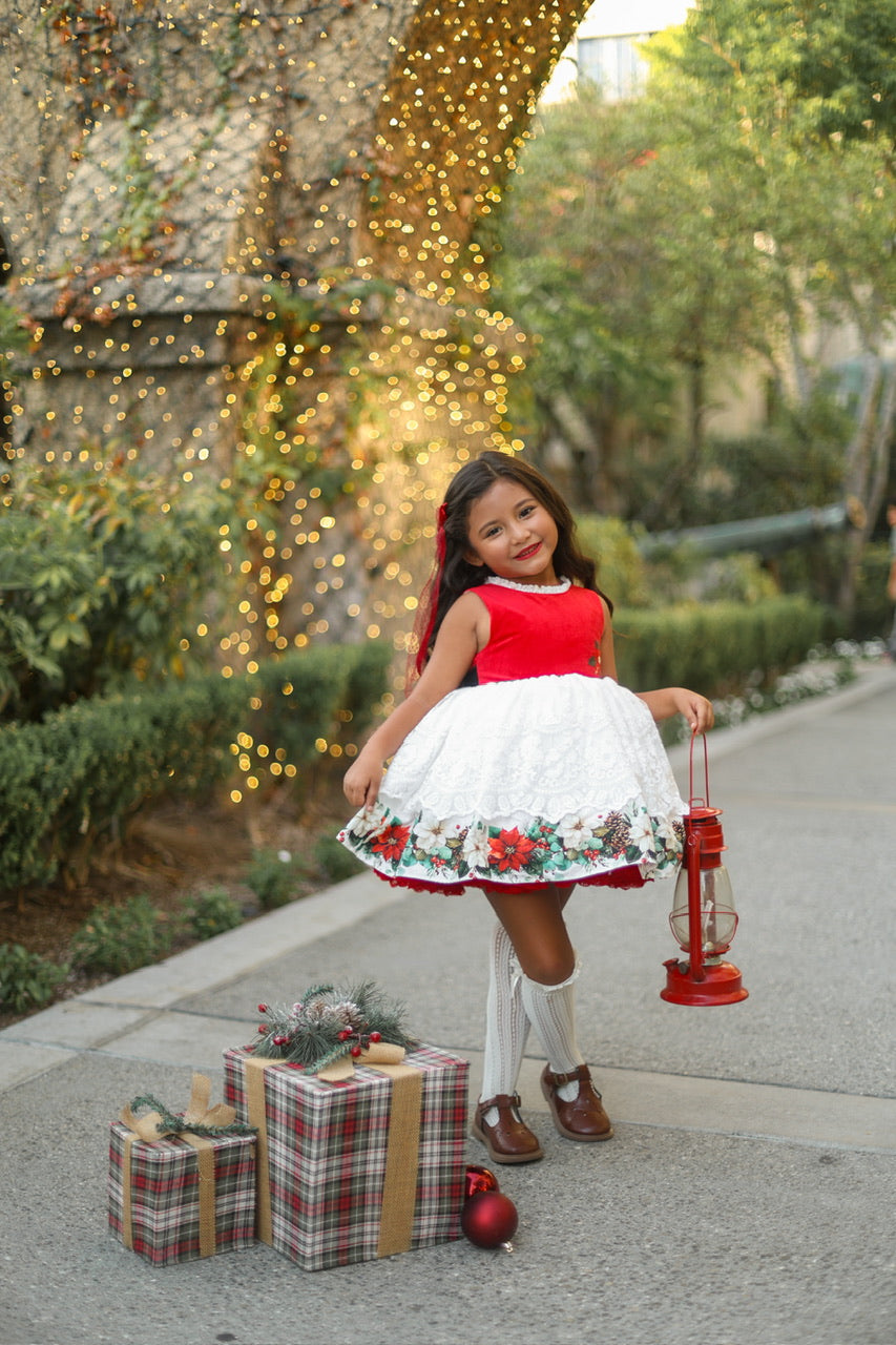 Poinsettia Promise